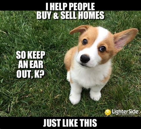 funny realtor memes.